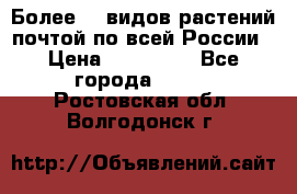 Более200 видов растений почтой по всей России › Цена ­ 100-500 - Все города  »    . Ростовская обл.,Волгодонск г.